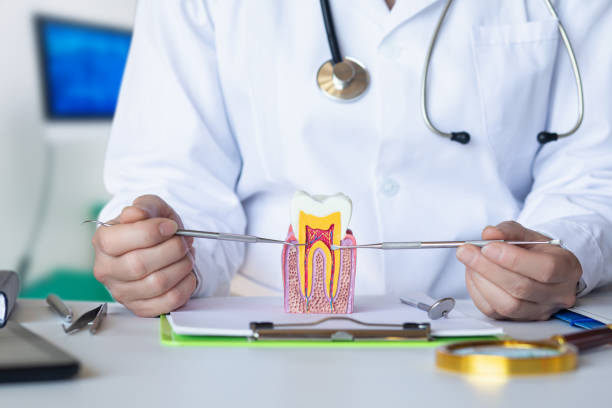 Best Emergency Dental Care for Sports Injuries in Nashville, MI